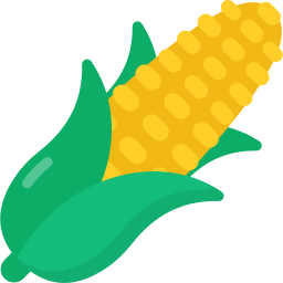 Corn icon