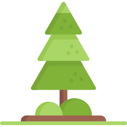 Pine icon