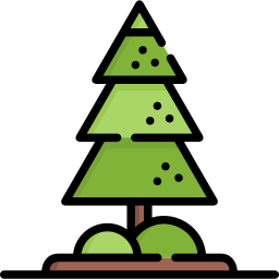 Pine icon