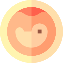 Embryo icon