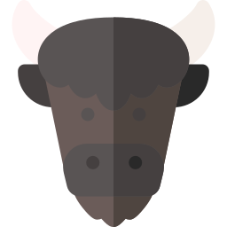 Buffalo icon