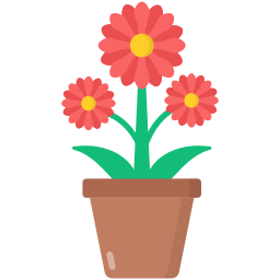 chrysantheme icon