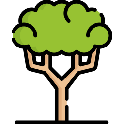 Roman pine icon