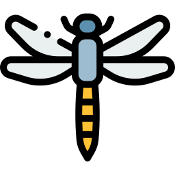 Dragonfly icon