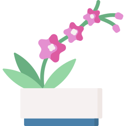 Orchid icon