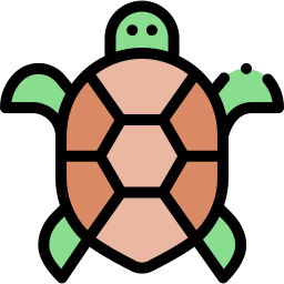 Turtle icon