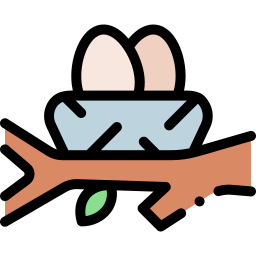 Eggs icon