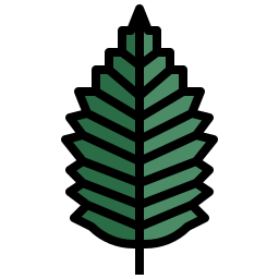 Elm icon