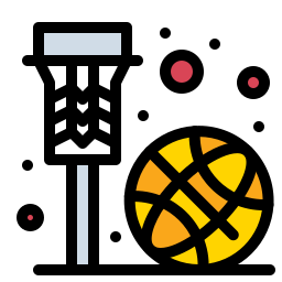 netz icon