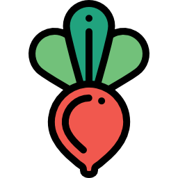 Radish icon