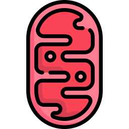 mitochondria ikona