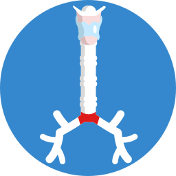 Neuron icon