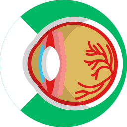 Eye ball icon