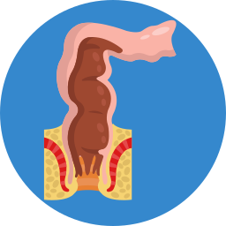 Colon icon