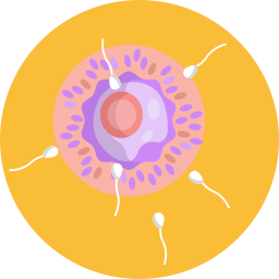 Fertilization icon