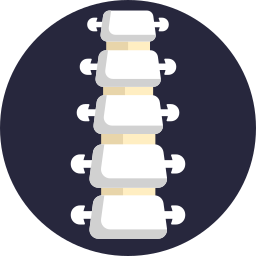 Backbone icon