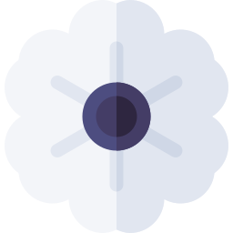 anemone icon