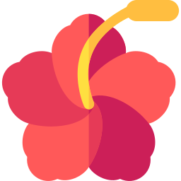 hibiskus icon