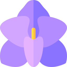 orchidee icon