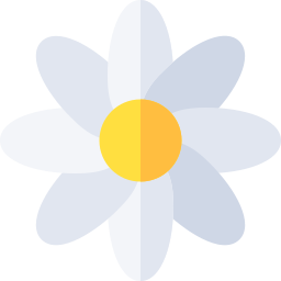 gänseblümchen icon