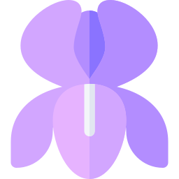 Iris icon