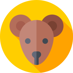 Rat icon