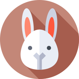 Rabbit icon