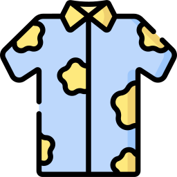 Shirt icon