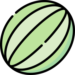 wassermelone icon