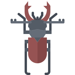 Beetle icon