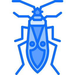 Beetle icon