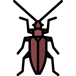 Beetle icon