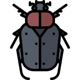 Beetle icon