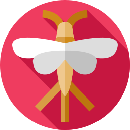 eintagsfliege icon