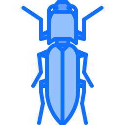 Beetle icon