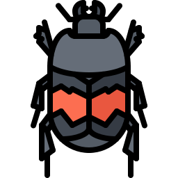 Beetle icon