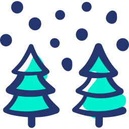 winter icon