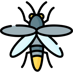 Firefly icon