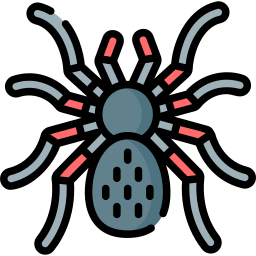 Spider icon