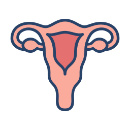 Uterus icon