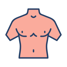 torso icona