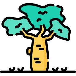 baobab icon