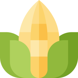 Corn icon