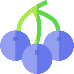 Blueberry icon