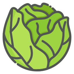 Cabbage icon