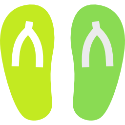 flip flops icon