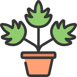 Leaf monstera icon