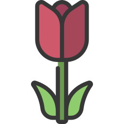 tulpe icon