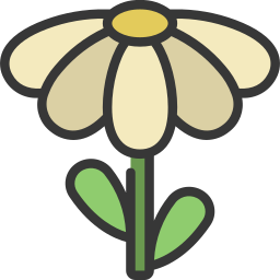 gänseblümchen icon