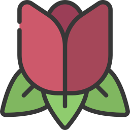 tulpe icon